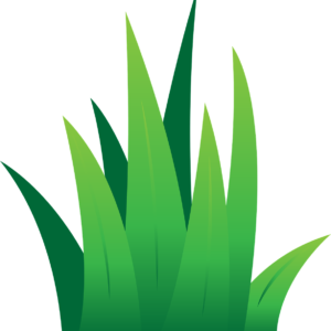 cartoon of grass blades