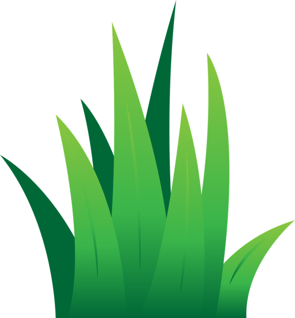 cartoon of grass blades