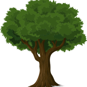 cartoon of tree with green leaves and trunk