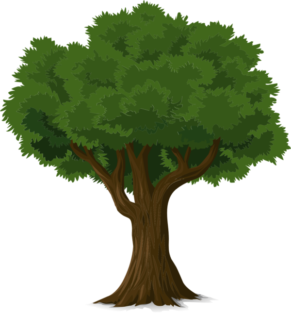 cartoon of tree with green leaves and trunk